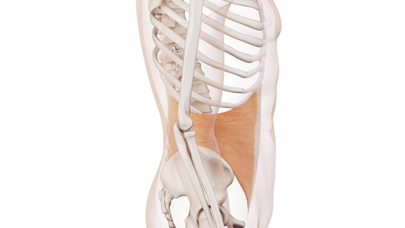 Transverse abdominis activation