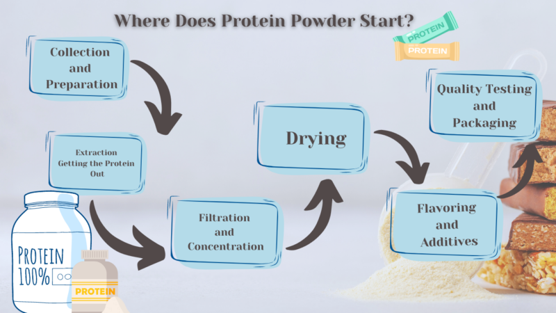 Where Does Protein Powder Start