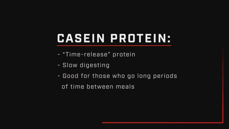 casein protein