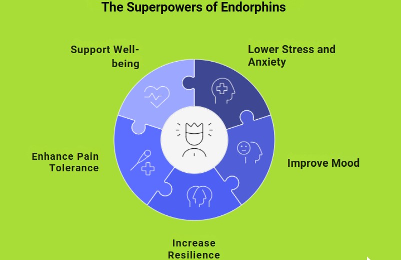 Pie chart showing benefits of endorphins