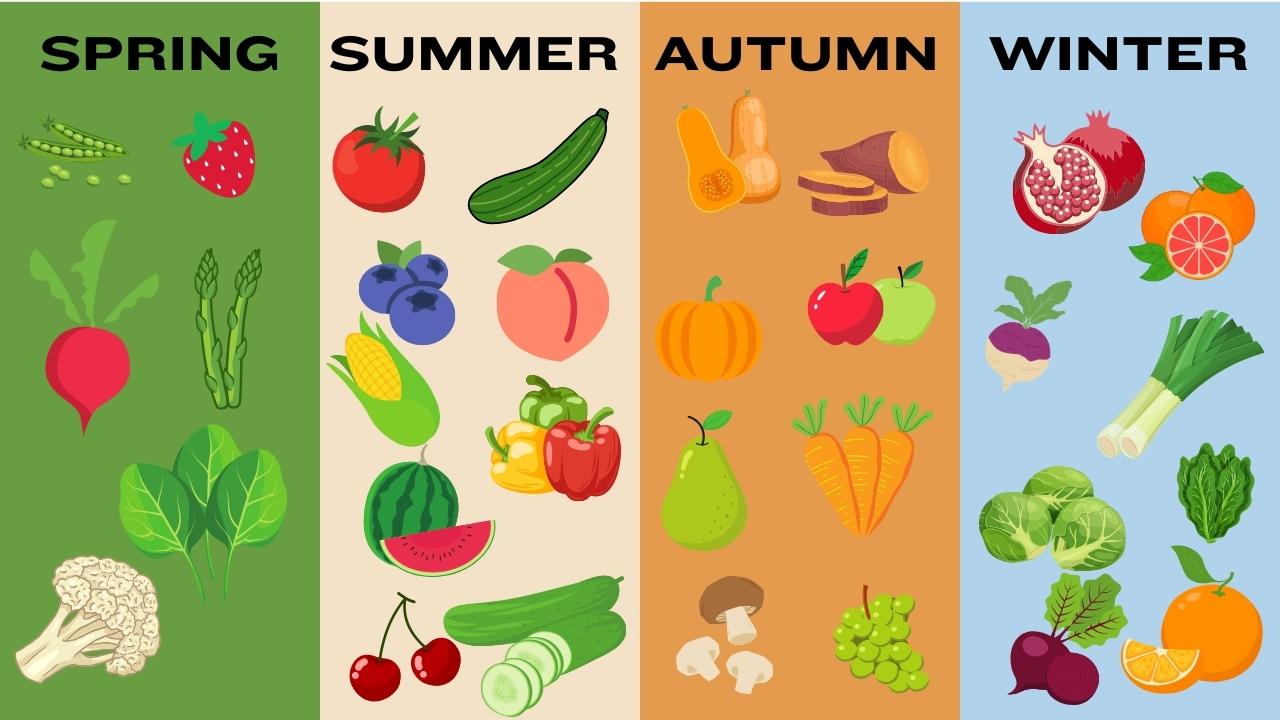 An infographic displaying different fruits and vegetables categorized by the four seasons: spring, summer, autumn, and winter, each with vibrant illustrations