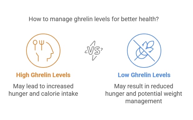 High ghrelin levels can increase hunger and calorie intake