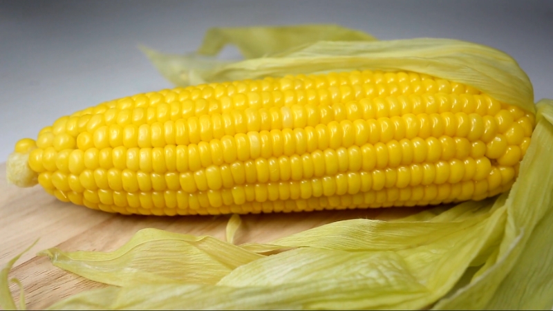 A fresh ear of sweet corn with husks partially peeled back, showing a high-fiber food that supports digestion