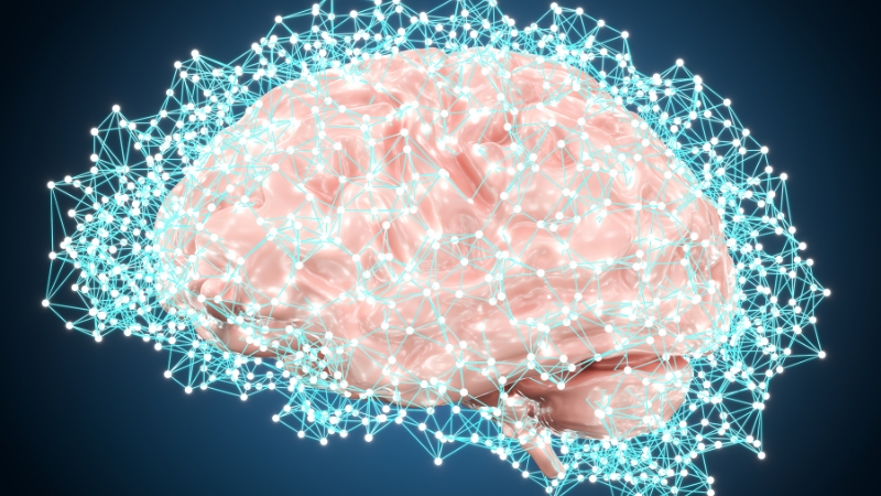 A 3D brain model with glowing connections shows how testosterone supports mood and mental focus
