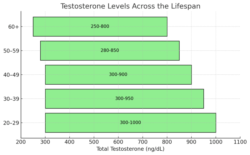Chart showing testosterone levels across age ranges