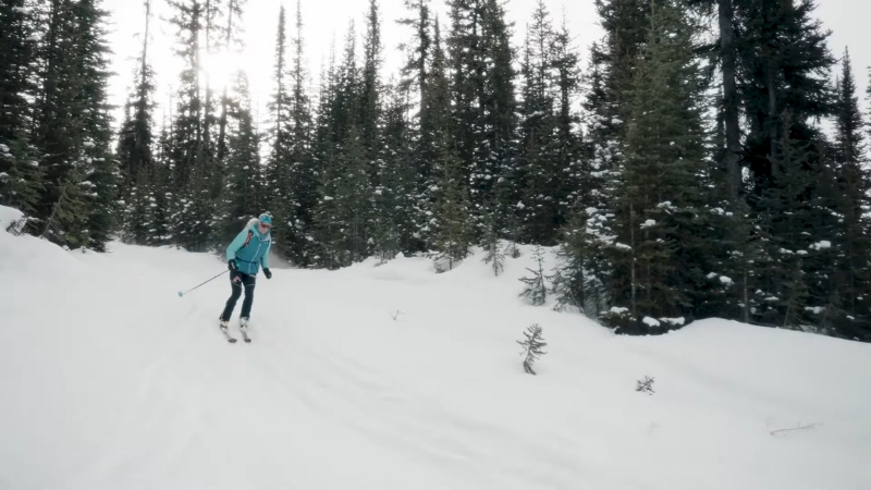 A skier moves uphill through snowy forest terrain during a ski touring session