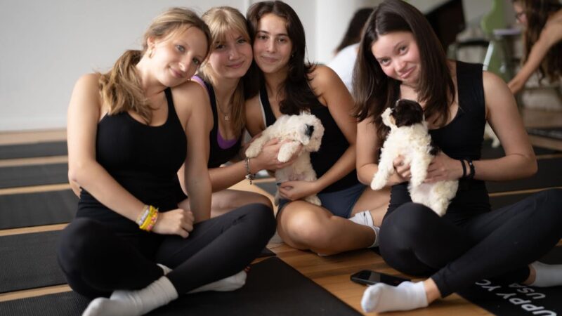 Four women pose on yoga mats with puppies in a studio
